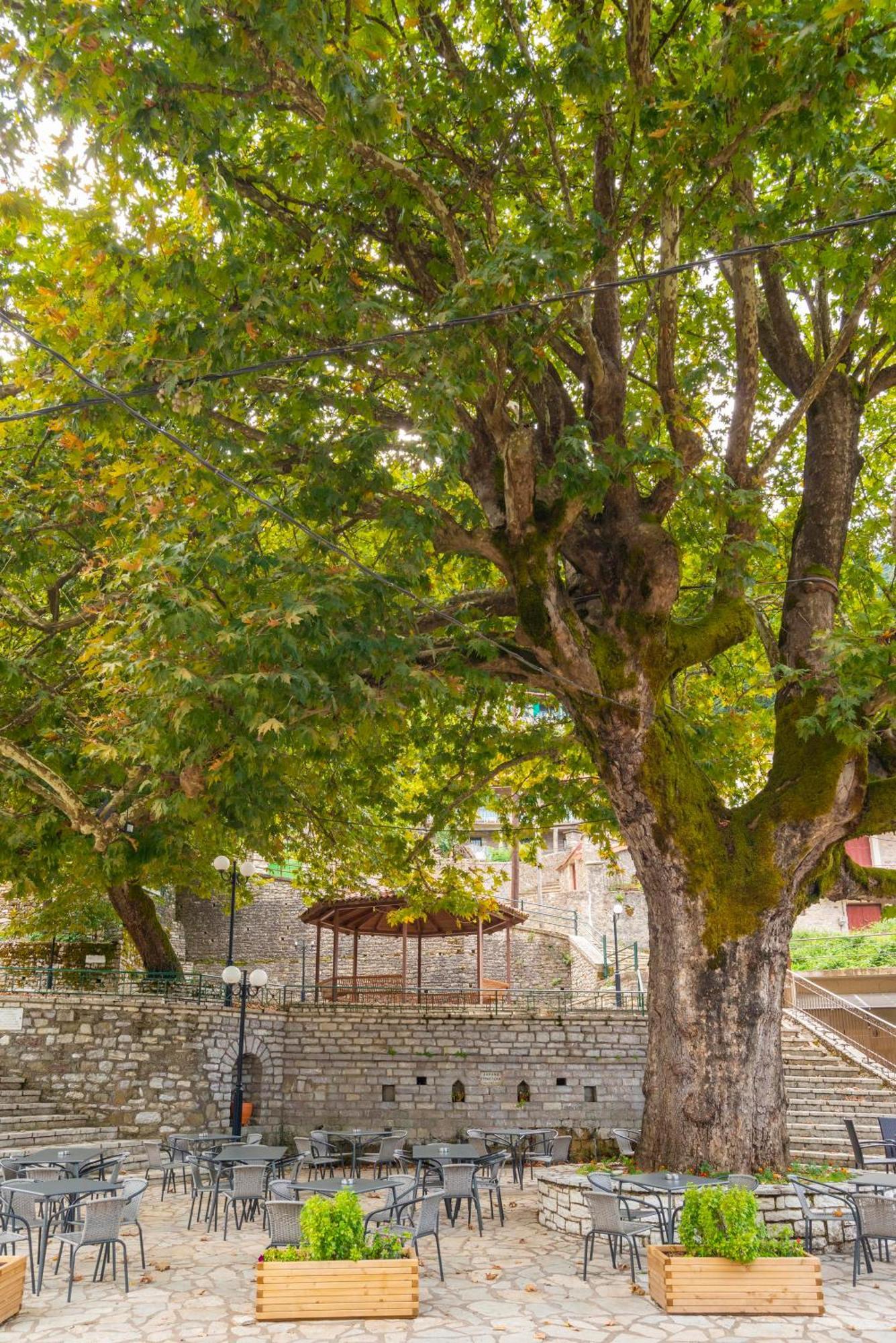 Helidona Hotel Mikro Chorio  Exterior photo